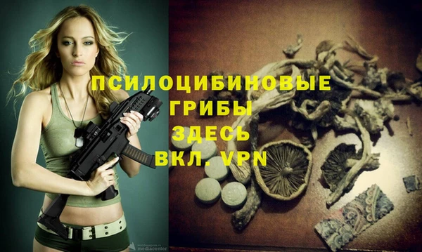 дурь Алексин