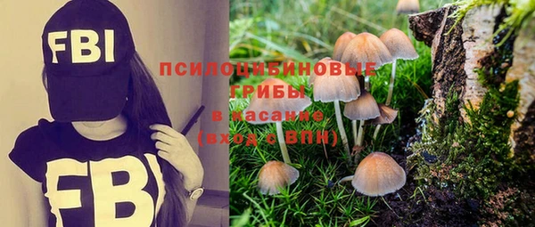 дурь Алексин