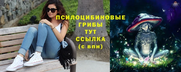 apvp Алексеевка