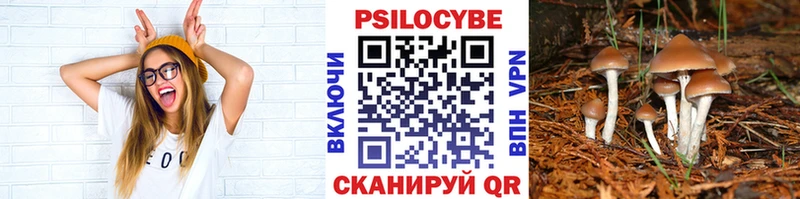 Псилоцибиновые грибы GOLDEN TEACHER  Кочубеевское 